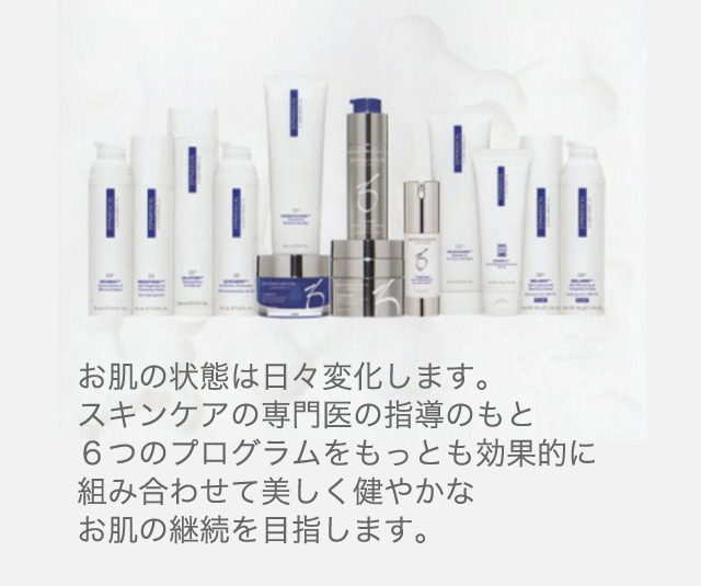 お肌の状態は日々変化します。スキンケアの専門医の指導のもと６つのプログラムをもっとも効果的に組み合わせて美しく健やかなお肌の継続を目指します。